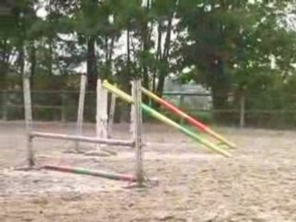 Courss de saut 2