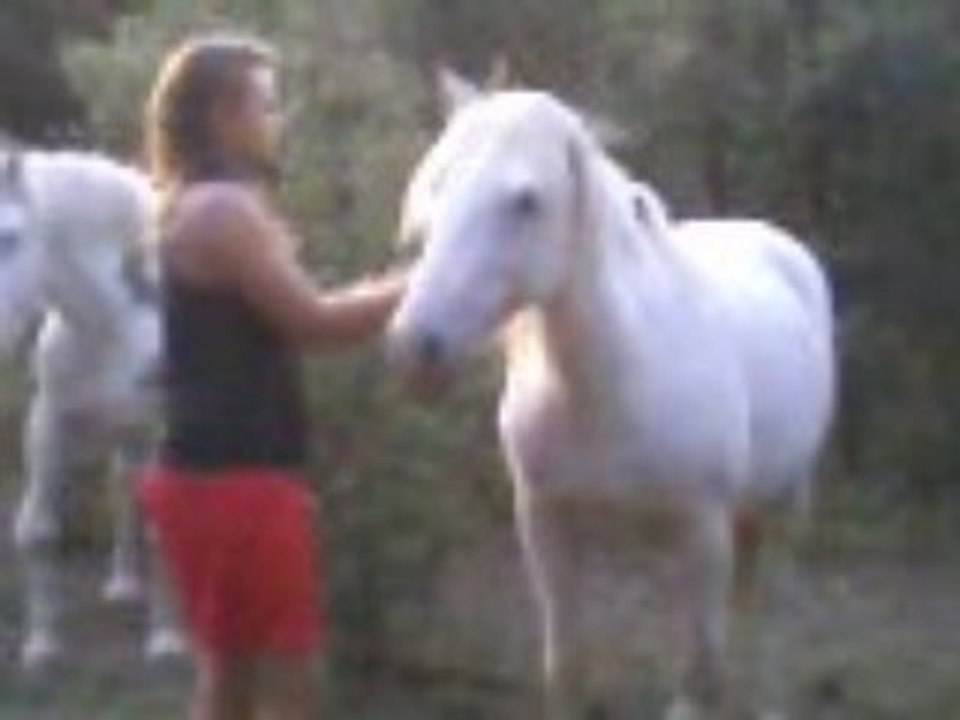 SOIRÈE CHEZ MARINE & FANNY