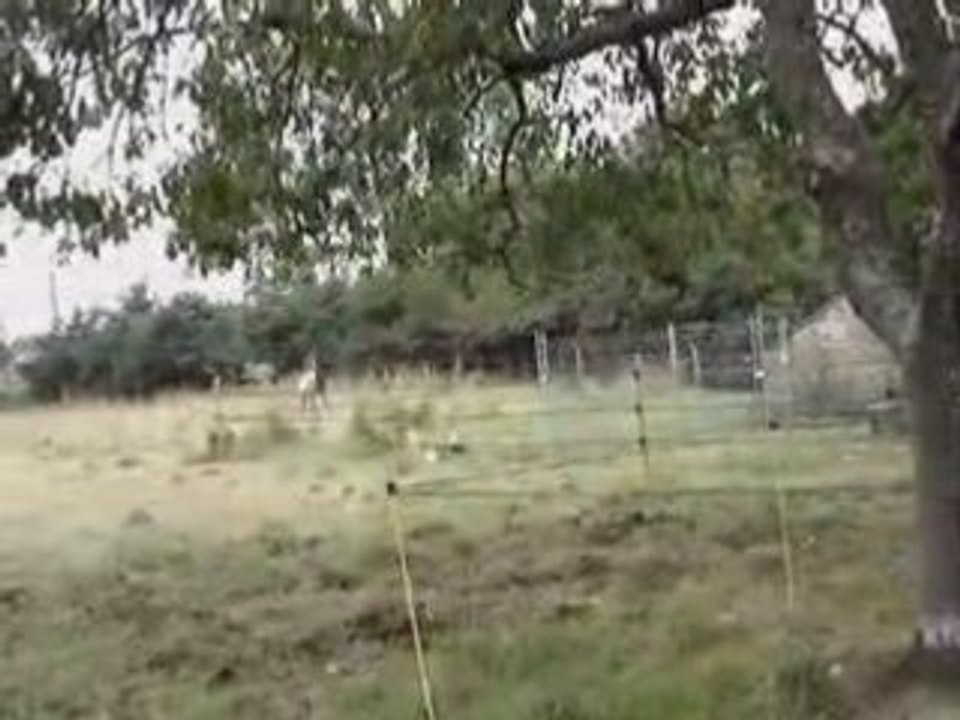 MOV01619