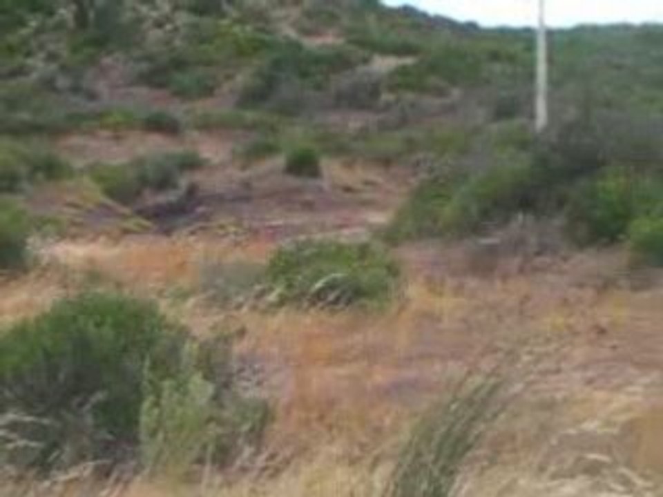 Balade à cheval à Puget sur Argens