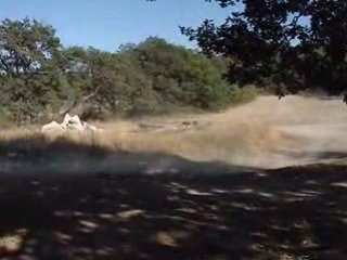 2008 08 30 quad artemis 113