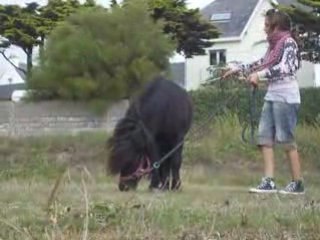 Quelques cabrages, et croupades, moi et Gandy