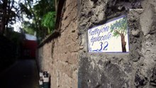 Callejón del Aguacate la leyenda de Coyoacán que vuelve en Día de Muertos