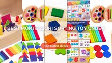 Best Montessori Sorting Toy Under $17