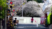5 centimètres par seconde