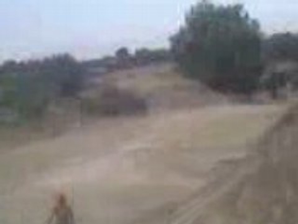 Tailwips