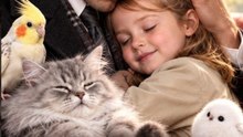 The Don’s Animal-Talking Little Girl #engsubtitle🧡🍏 🔥 (2026) - FULL ENGSUB | Reelshort Hot HD