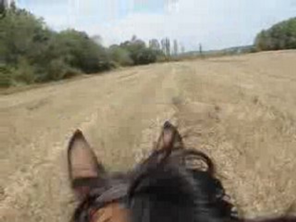 Méga chaumes ... trop booooon !!!