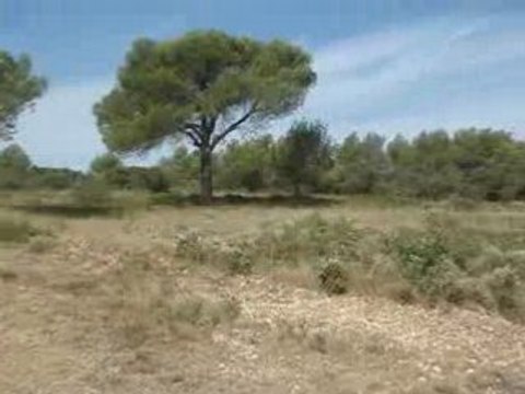 Collines de Saint Cannat massif des 4 termes (1)