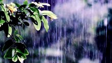Rain on Green Leaves 🌧️ Rain ASMR & Gentle Thunderstorm Sounds