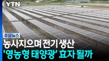[네트] 농사지으며 전기 생산...'영농형 태양광' 효자 될까 / YTN