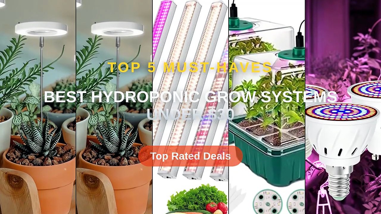 Best Hydroponic Grow Systems Under $30 - video Dailymotion