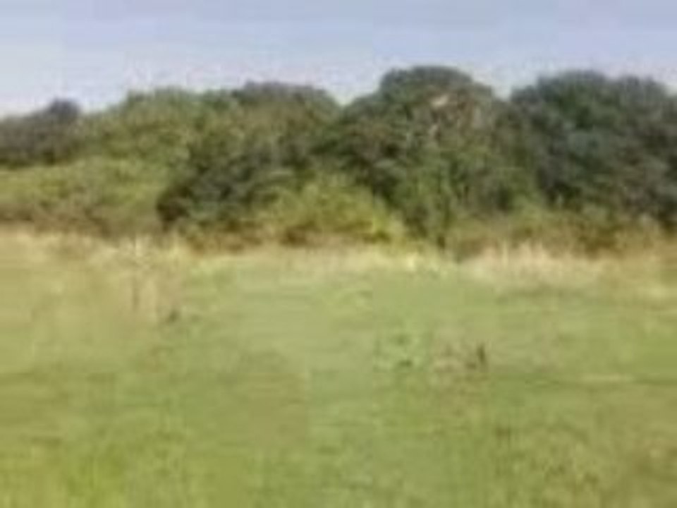 Vidéo-0004