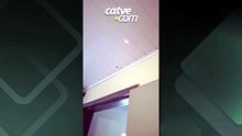 Projétil atravessa telhado de casa e cai sobre cama de moradora durante apuração dos votos