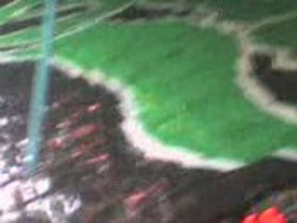 MOV00008