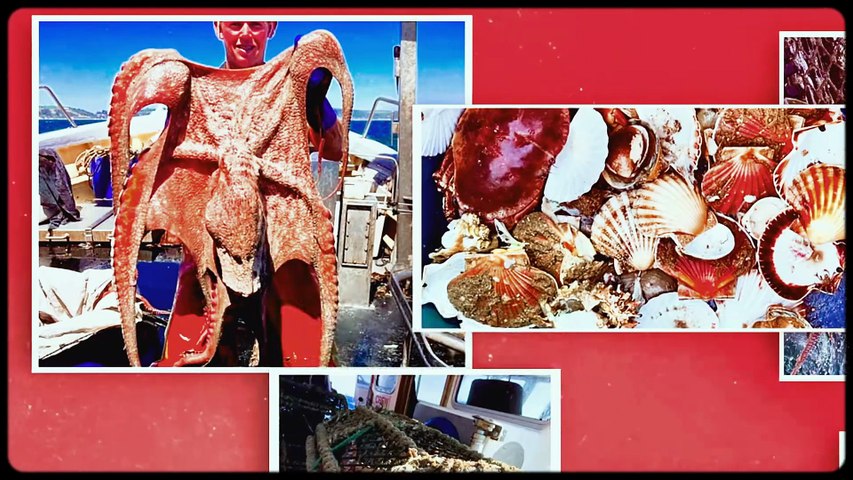 Bloomin' Octopus! | movie | 2026 | Official Featurette
