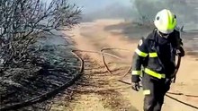 Incendio forestal en Chiclana