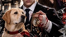 Touch My Guide Dog, Lose Everything 🍿🍿🍿FULL MOVIES ENGLISH SUB 2026🍿🍿🍿 FULL 2026
