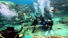 A Roman Ship Vanished for 67 Years — Divers Just Found It Off Portofino