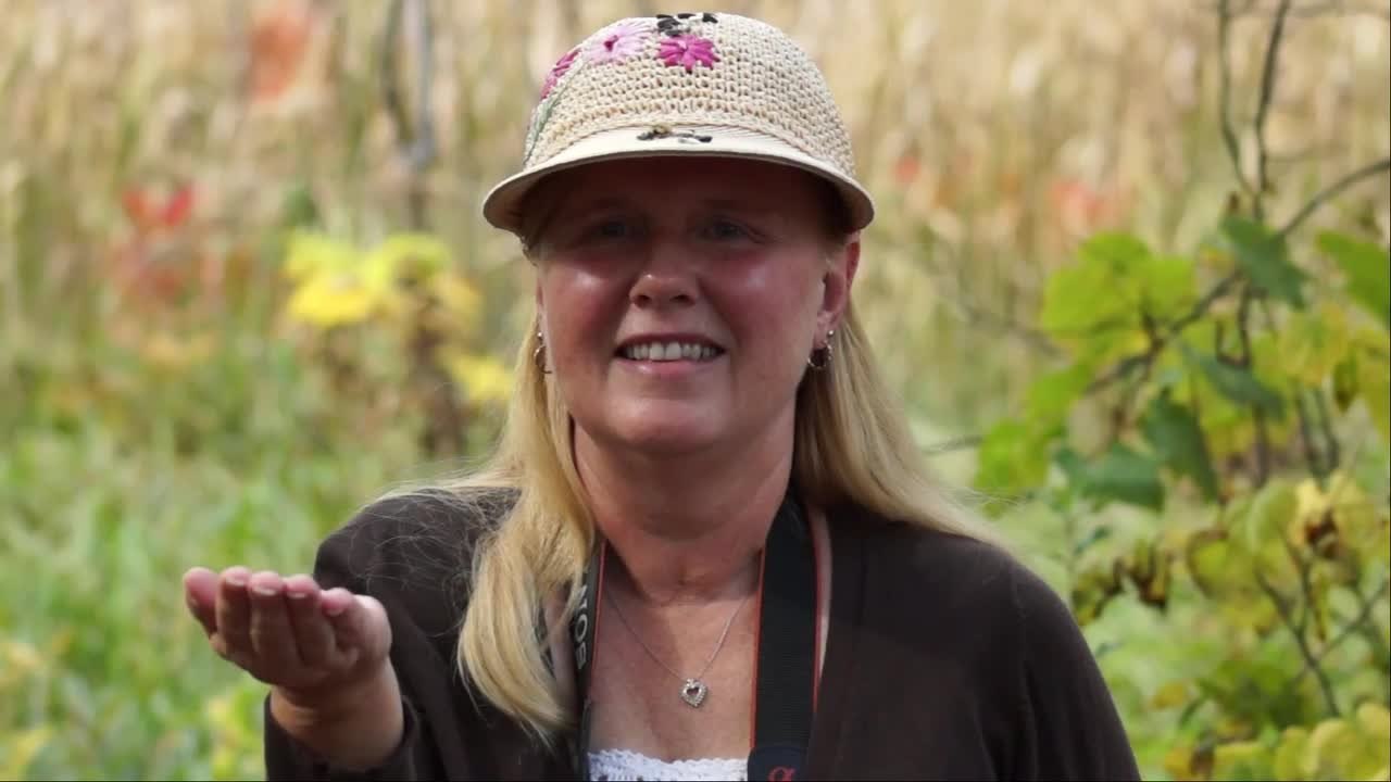 Woman Stands Still as Birds Adorably Eat Food from Her Hands and Hat ...