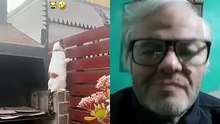 ¡Gato - Man en acción! Nadie se escapa de su guardia 😼👮