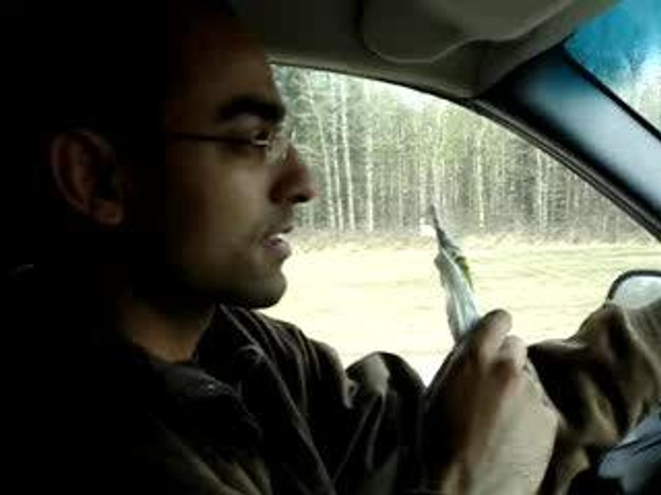 The Tickler