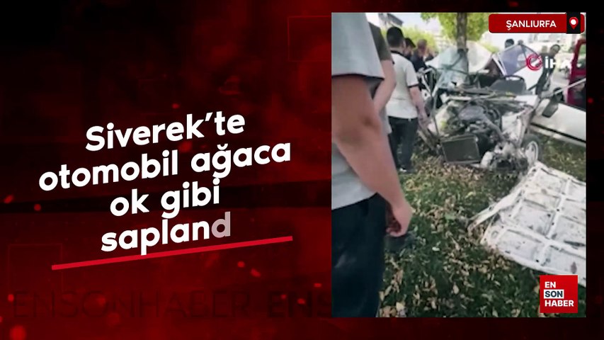 Şanlıurfa Siverek’te otomobil ağaca ok gibi saplandı