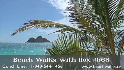 Beach Walk 668 - Love Heals, Love Hurts