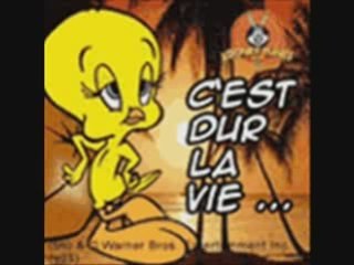 Jose el frances mon amour