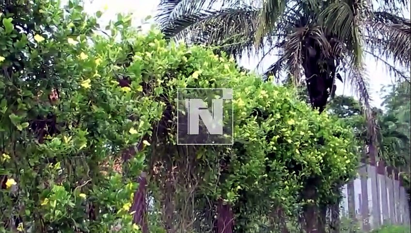 CASA NARCOTRAFICANT3