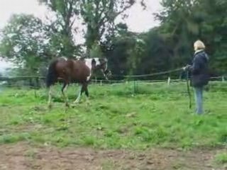 Aout28 2008 2eme cour longé pas arret