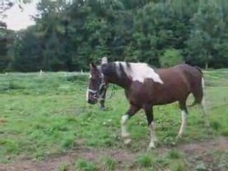 Aout28 2008 eme cours longé moi et indianna