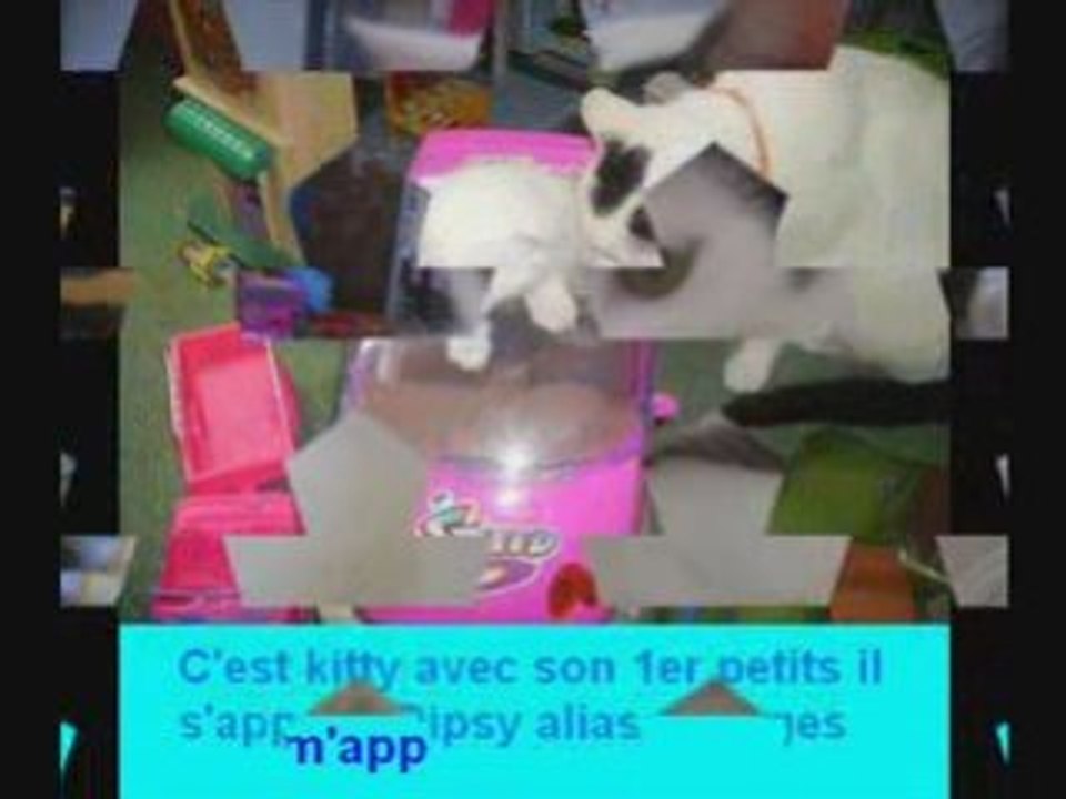 Nos amis les animaux