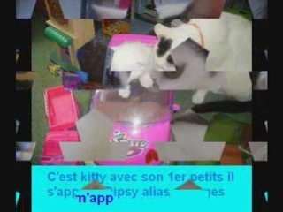 Nos amis les animaux