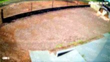 Câmera flagra criminosos invadindo pátio de empresa e furtando fios em Cascavel; veja o vídeo