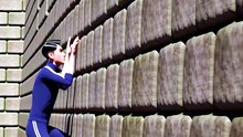 The True Samurai
