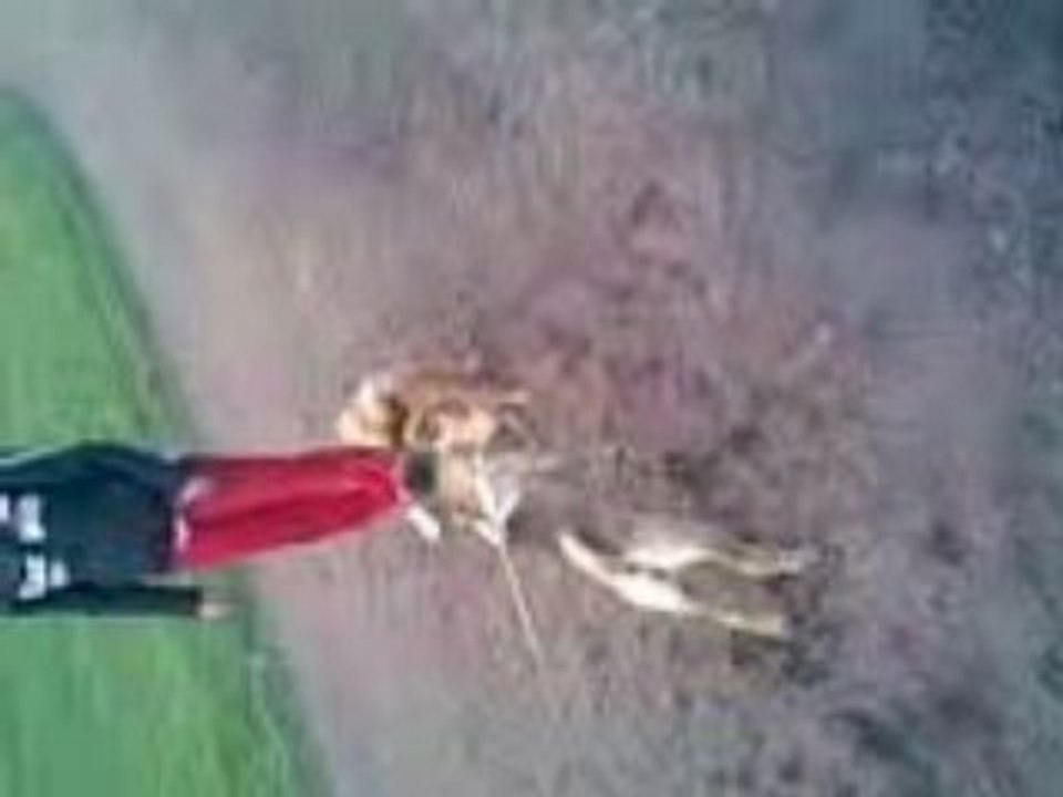 Видео006
