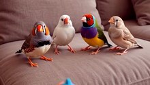 Animals pretending to faint  #FunnyAnimals #AnimalComedy #FunnyPets #CuteAnimals #Viral#BirdBuzz (2)