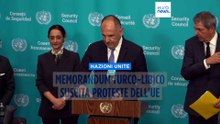Onu, Gerapetritis: "Memorandum turco-libico" sfida ordine giuridico internazionale, rammarico dell'Ue
