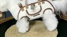 Crossbody Dog Carrier Bag | Stylish Pet Travel Handbag for Small Dogs & Cats