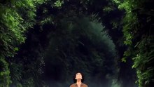 Green Forest Bench Moment 🌿