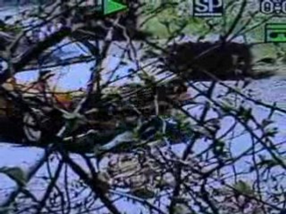 crash course de cote autun 2008