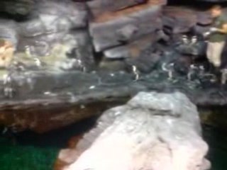 Aquarium Mare Nostrum Montpellier