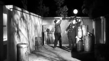 Night Owls 1930