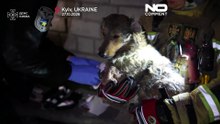 Ukraine : des pompiers luttent contre les flammes et sauvent un chien des ruines de Kyiv