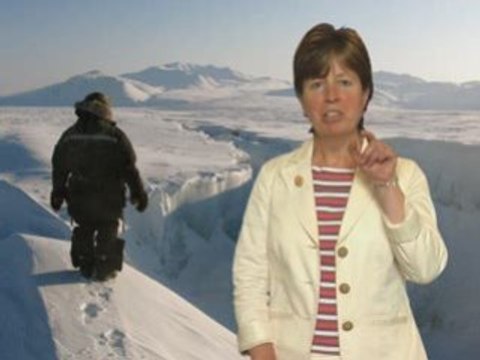 Diana Wallis on Arctic Governance