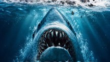 Shark Bait Heiress: The Godfather's Daughter's Revenge (2026)