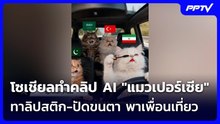 โซเชียลทำคลิป AI "แมวเปอร์เซีย" ทาลิปสติก-ปัดขนตา พาเพื่อนเที่ยว | เข้มข่าวค่ำ | 27 ต.ค. 69