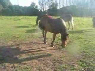 Kéops