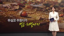 무심코 주운 도토리...과태료·형사처벌까지 [앵커리포트] / YTN